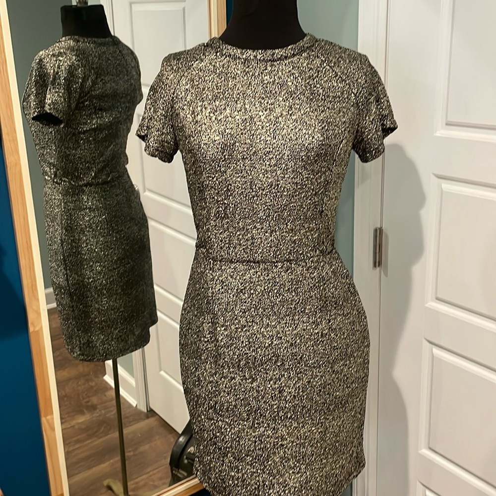 Sparkly Dress